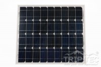 SPM040551.0.jpg SPM040551.0.jpg